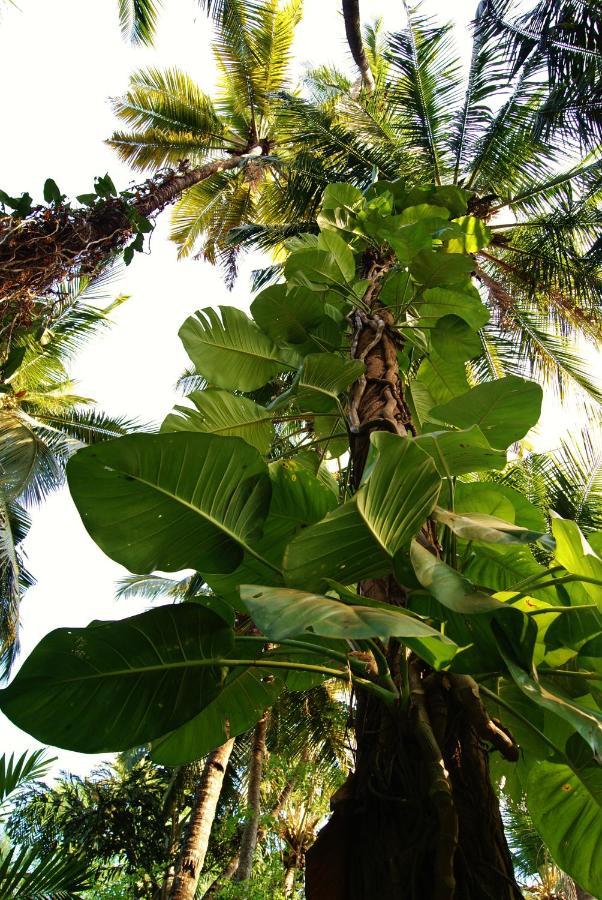 Hotel Bhakti Kutir Palolem Exteriér fotografie